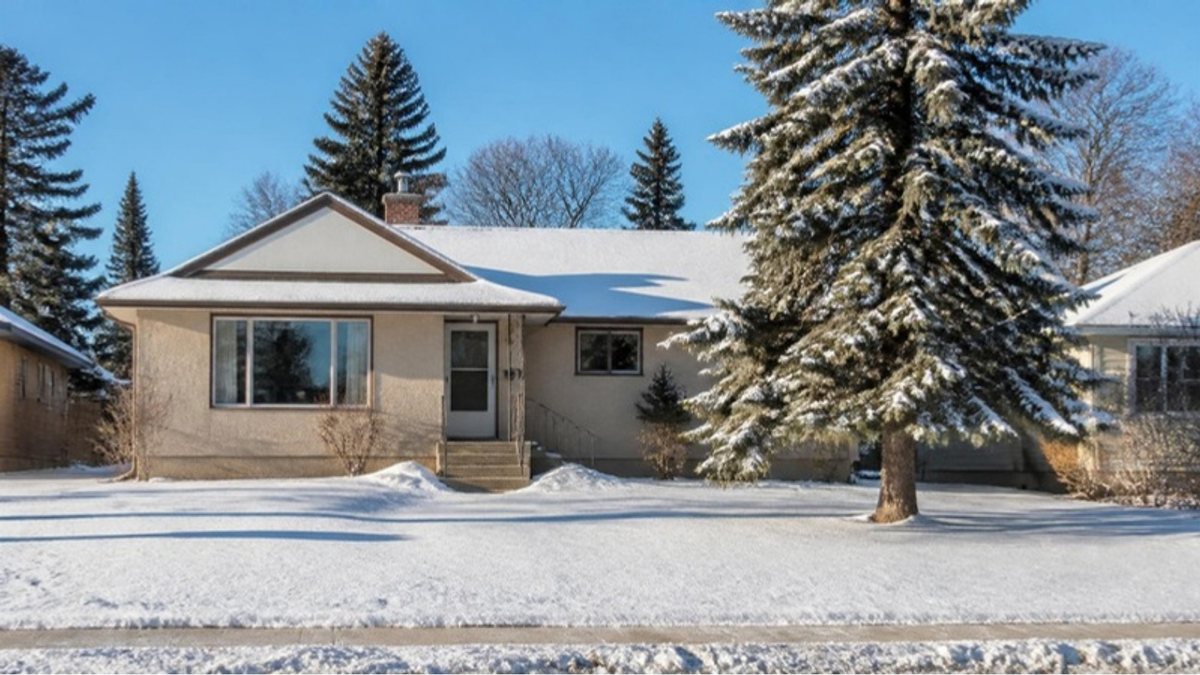 Edmonton bungalow with a spruce tree on a snowy winter day